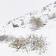 Image for article titled This Fake Boulder In the Alps Is Actually a Tiny, Perfect Cabin